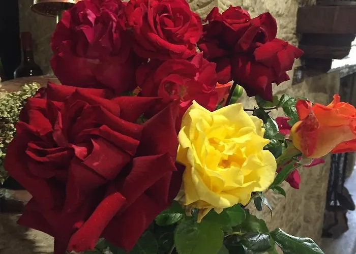 فندق Stella تول