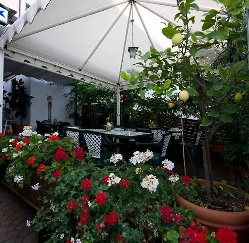 酒店 阿尔伯格斯特拉酒店 托莱