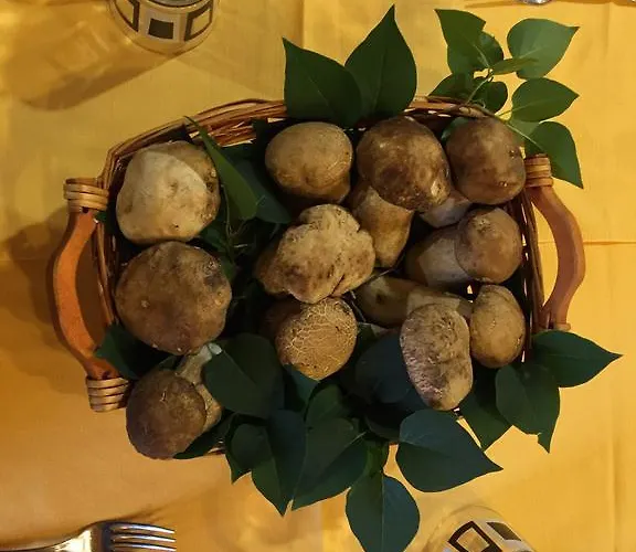 阿尔伯格斯特拉酒店 酒店