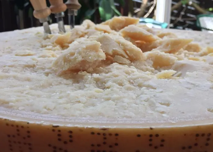 酒店 阿尔伯格斯特拉酒店 3*